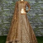 Zeel Clothing Women's Silk Semi-Stitched Lehenga Choli (Bridal Golden And Brown_Free Size)